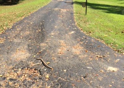 Cracked asphalt driveway with scattered sticks and leaves, curving through a grassy yard with trees.